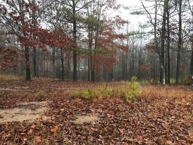 single family residence sold at 161 Roberts Way, Canton, GA 30114
