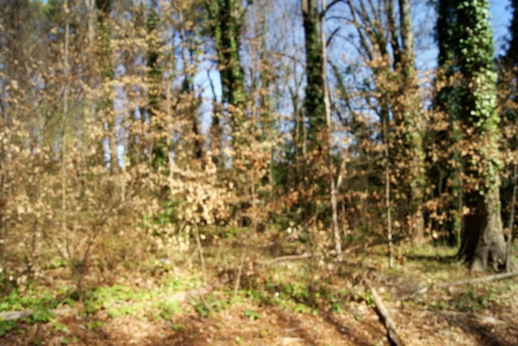 single family residence sold at 3612 Rockbridge Road, Stone Mountain, GA 30083