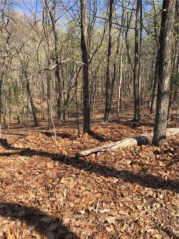 single family residence sold at 4002 Sleeping Fawn Knoll, Big Canoe, GA 30143