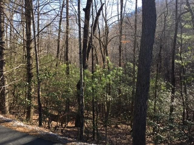 single family residence sold at 0 Plum Orchard Road, Clayton, GA 30525