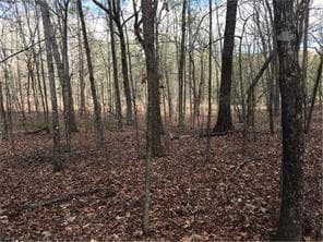 other sold at Lot 18 Yellow Creek Road, Ball Ground, GA 30107