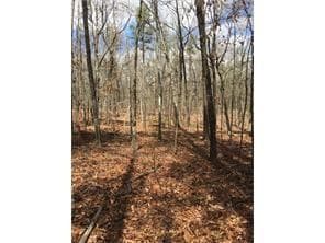 other sold at Lot 19 Yellow Creek Road, Ball Ground, GA 30107