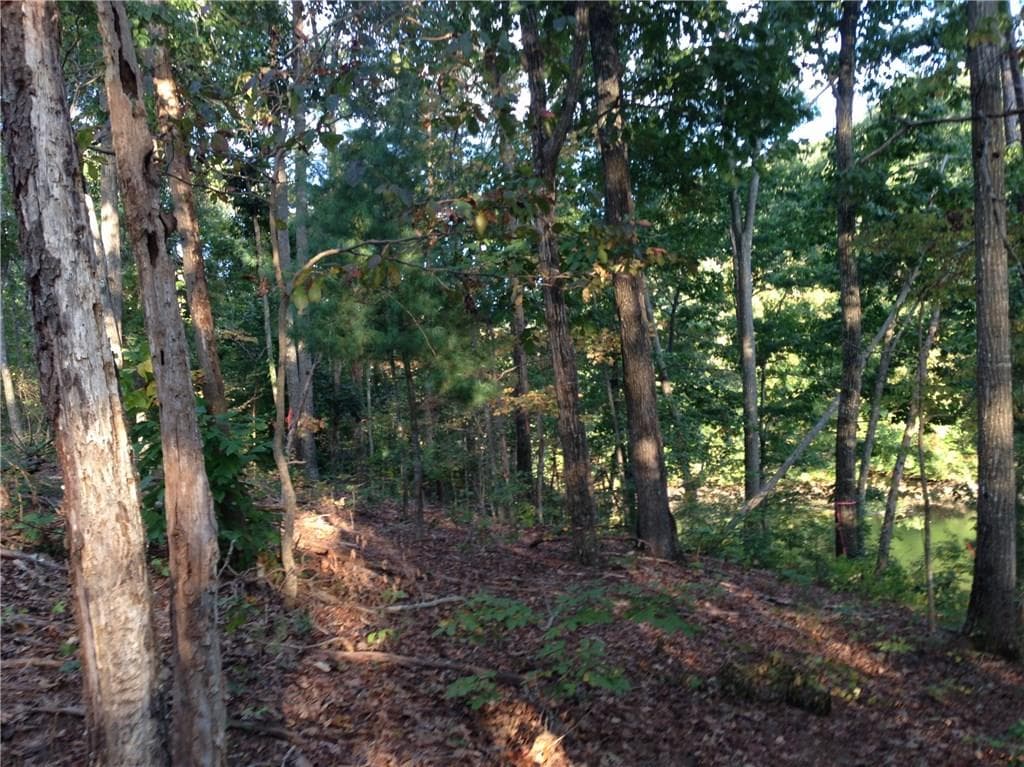 other sold at 00 TANNERS MILL Road, Braselton, GA 30517