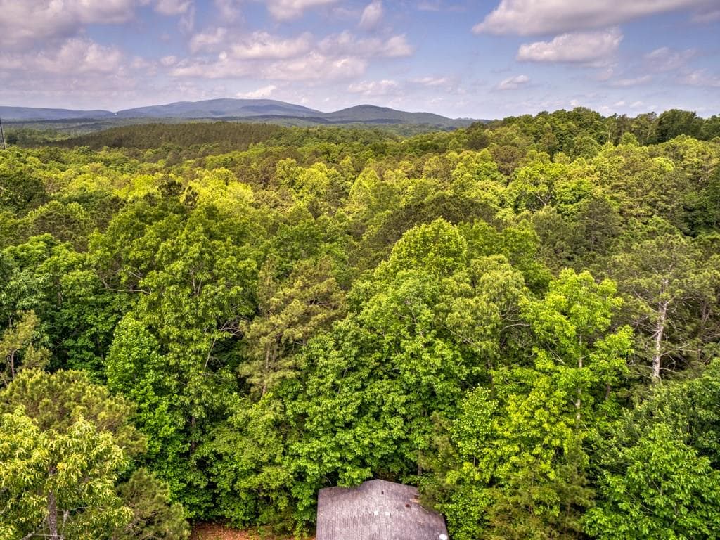 225 Puckett Trail, Waleska, GA 30183 — most recent listing photo