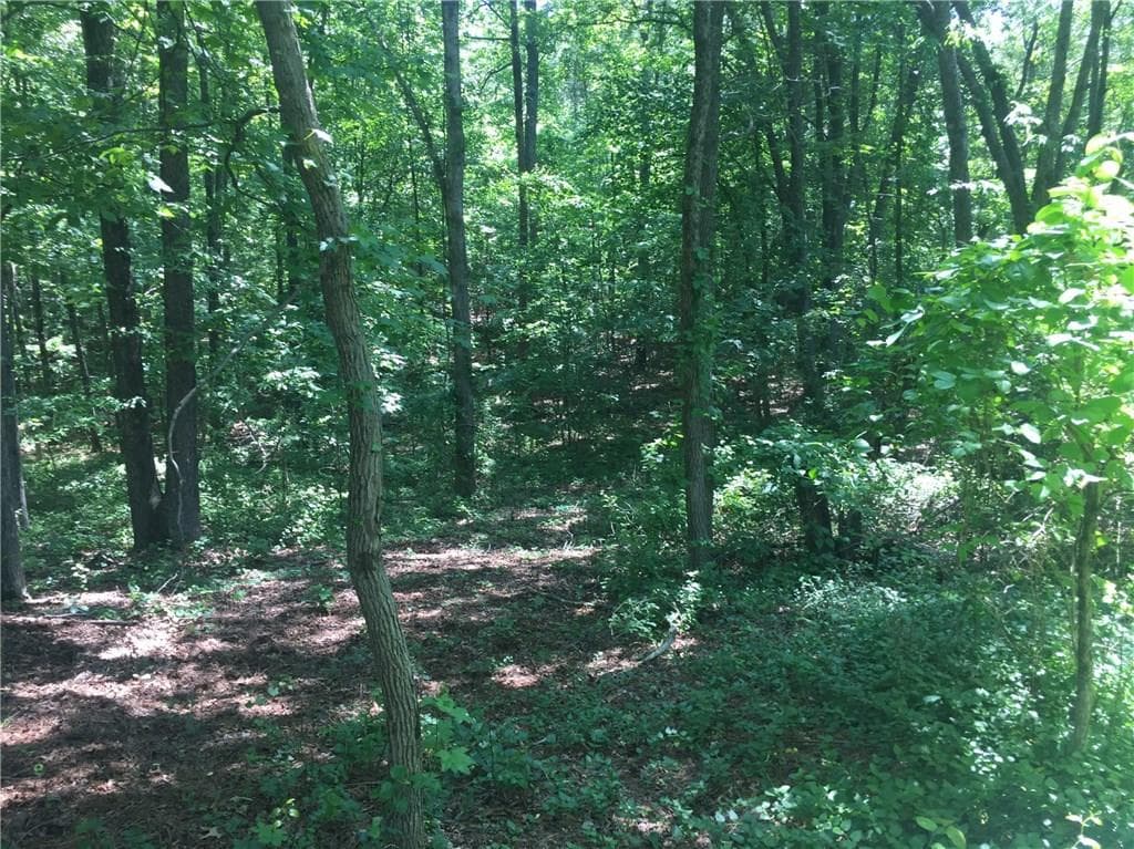 other sold at 5381 HOG MOUNTAIN Road, Flowery Branch, GA 30542