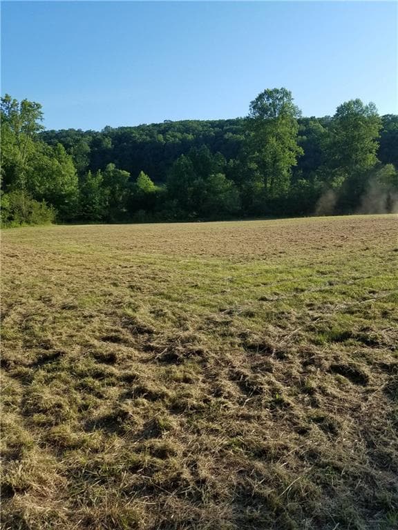 single family residence sold at 00 Porter Springs Road, Lumpkin, GA 30533