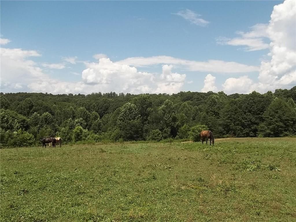 2 bedroom other sold at 4889 PEA RIDGE Road, Cornelia, GA 30531