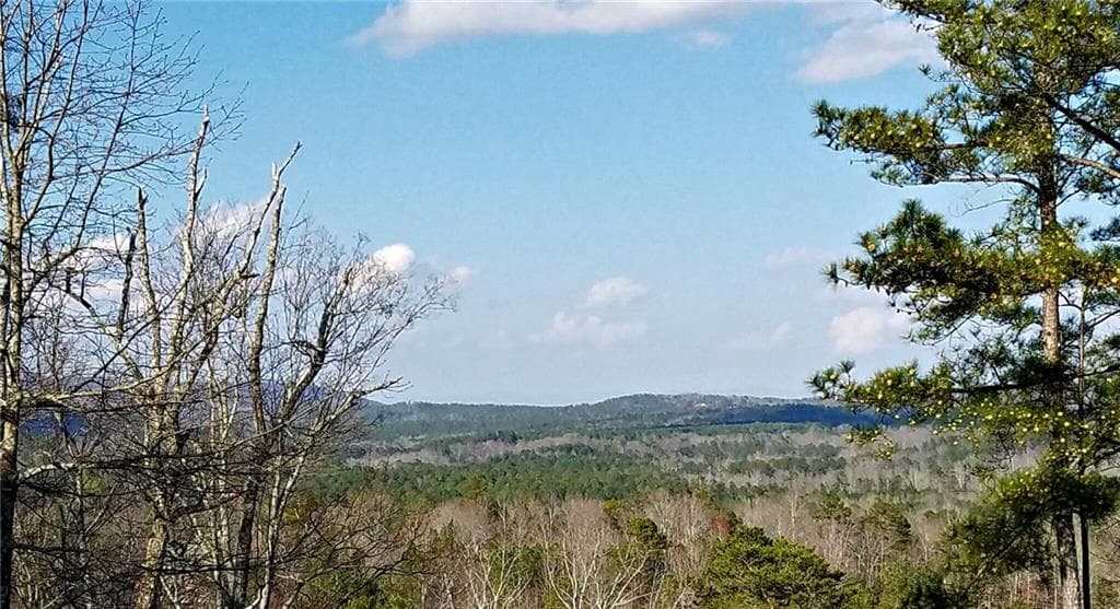 single family residence sold at 22 Hawks Branch Lane, White, GA 30184