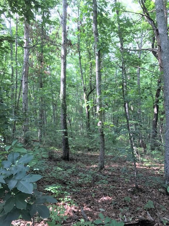 other sold at 0 Lower Burris Road, Canton, GA 30114