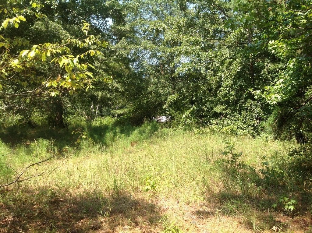 other sold at 0 Francis Road, Milton, GA 30004