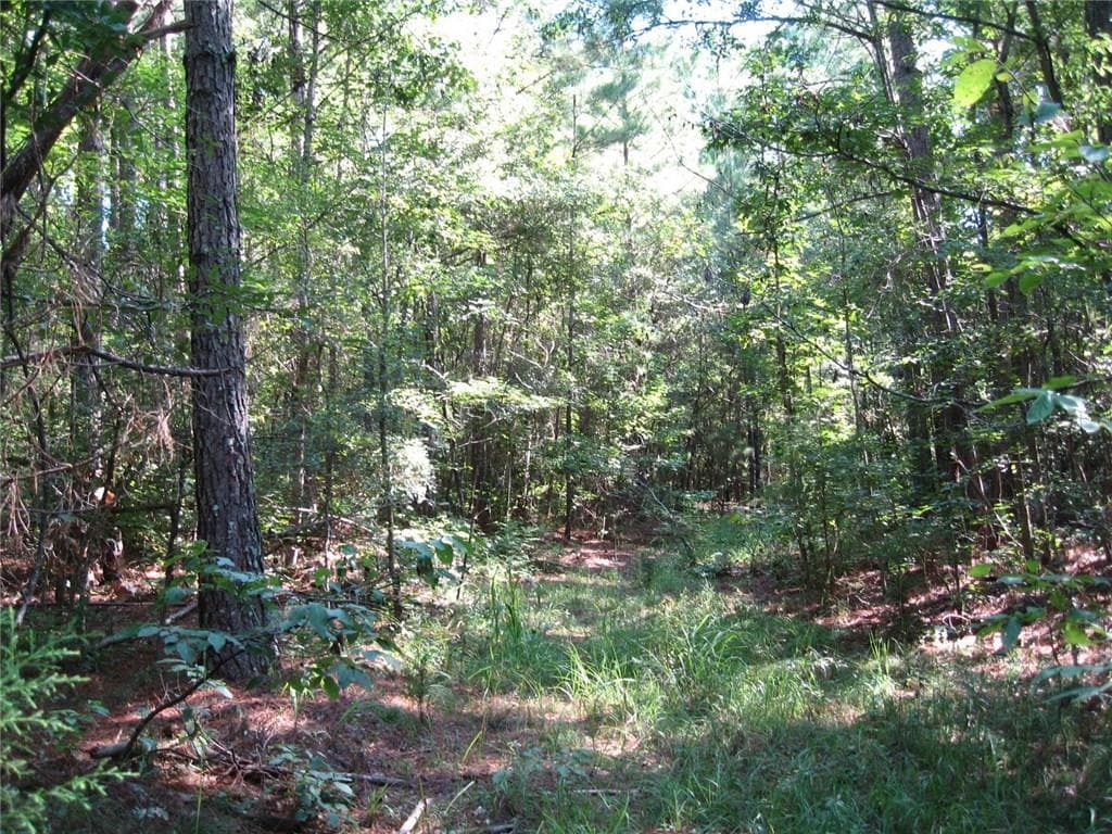 other sold at 00 Linton Road, Sparta, GA 31087