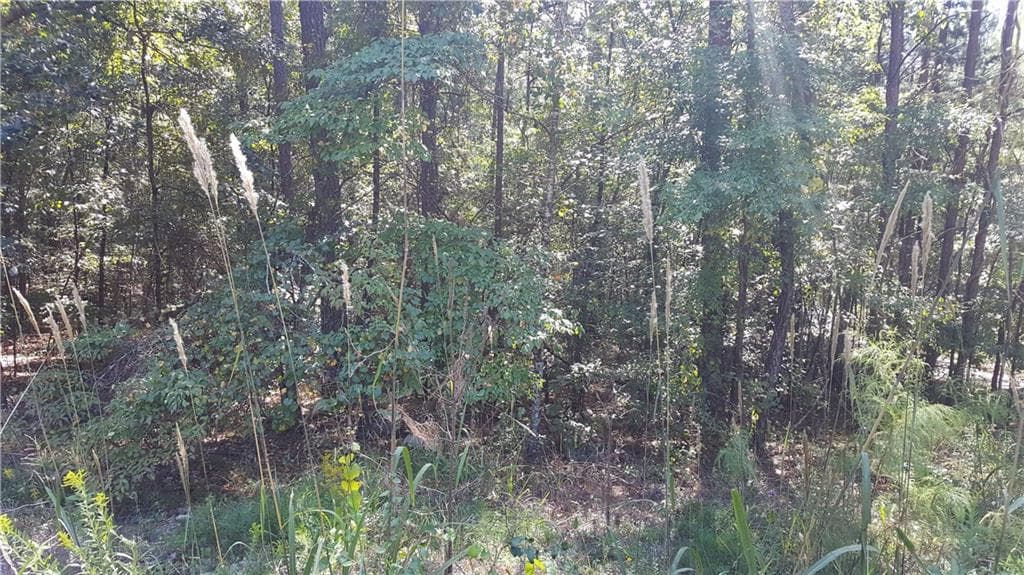 other sold at 2709 Dennard Road, Conyers, GA 30013