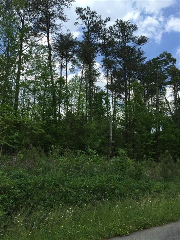 other sold at 0 Old Tennessee Highway, Rydal, GA 30171