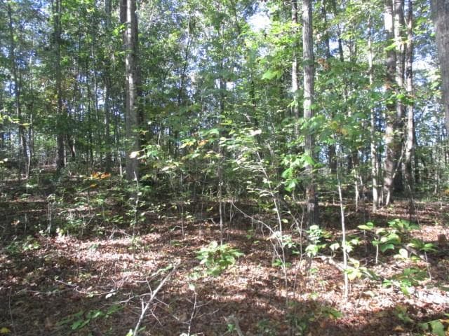 3 bedroom other sold at 1359 Old Mill Road, Ball Ground, GA 30107