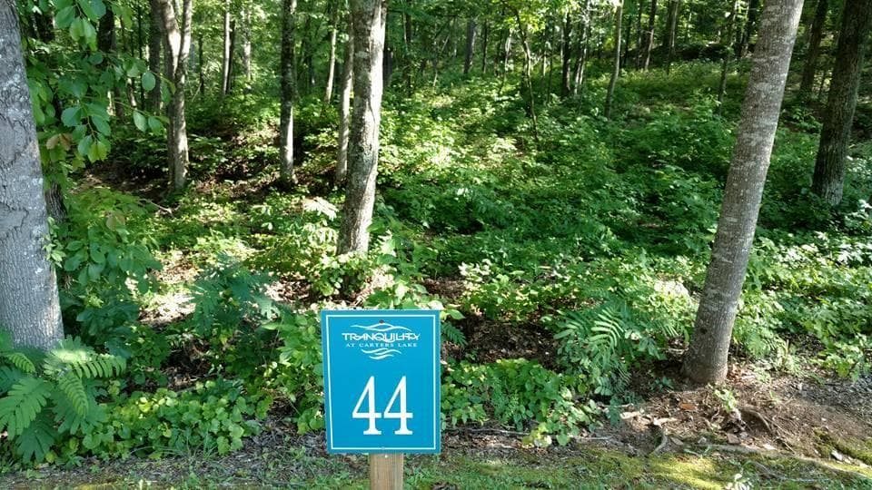 single family residence sold at 0 Doll Mountain Road, Ellijay, GA 30540