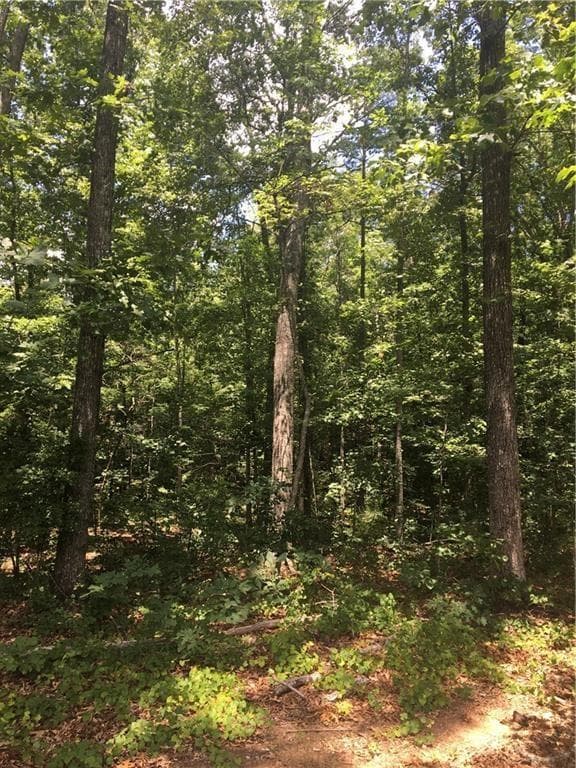 other sold at 9.6 ac N Flat Rock Road, Douglasville, GA 30134