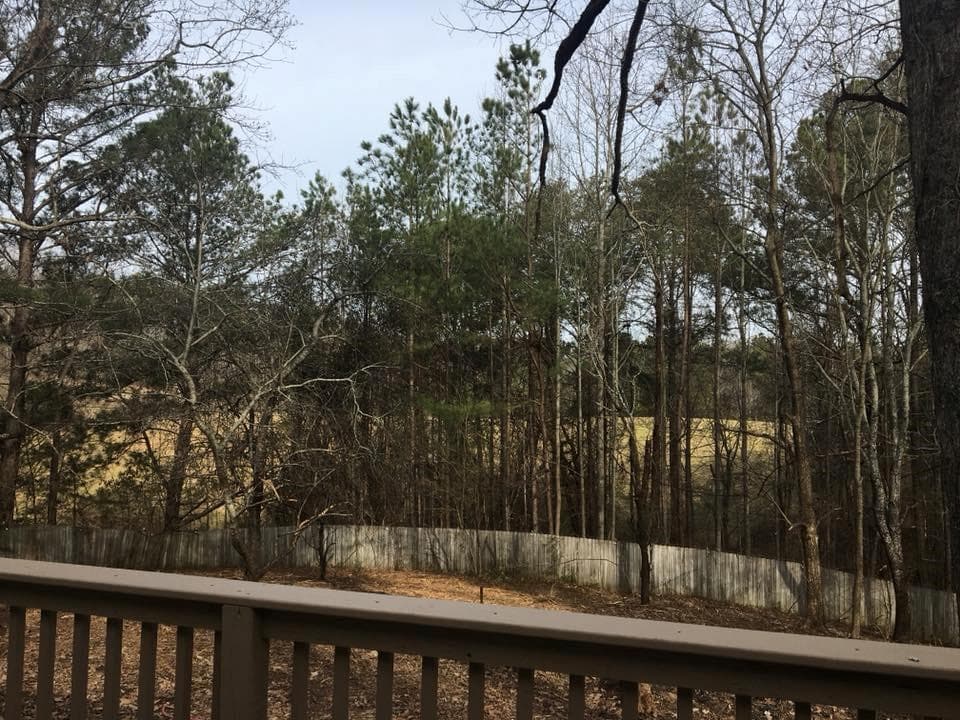 305 Reavis Mountain Road, Ball Ground, GA 30107 — most recent listing photo