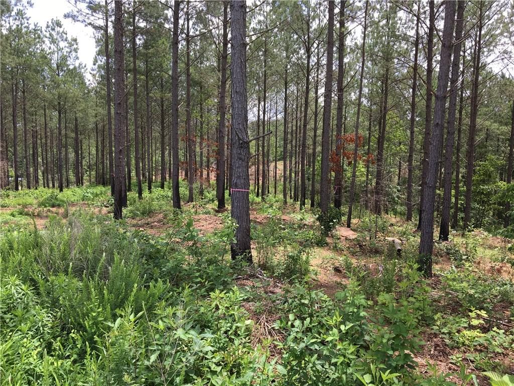 other sold at 1170 Salacoa Road, Waleska, GA 30183