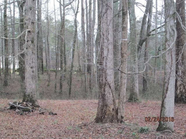 other sold at 2730 E Hwy 166, Carrollton, GA 30116