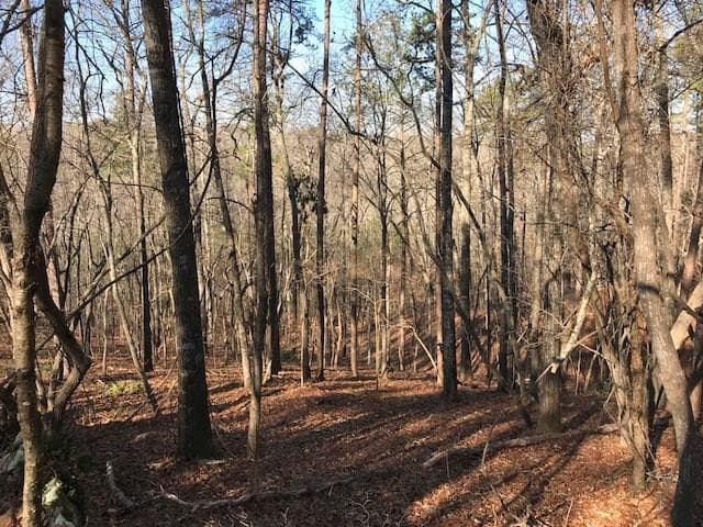 other sold at 0 Golden Hills Drive, Woodstock, GA 30189