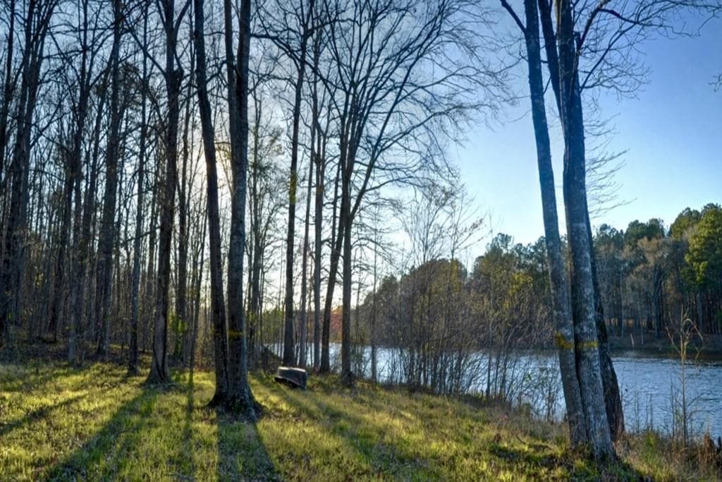 single family residence sold at 165 Village Lake Court, Brooks, GA 30205