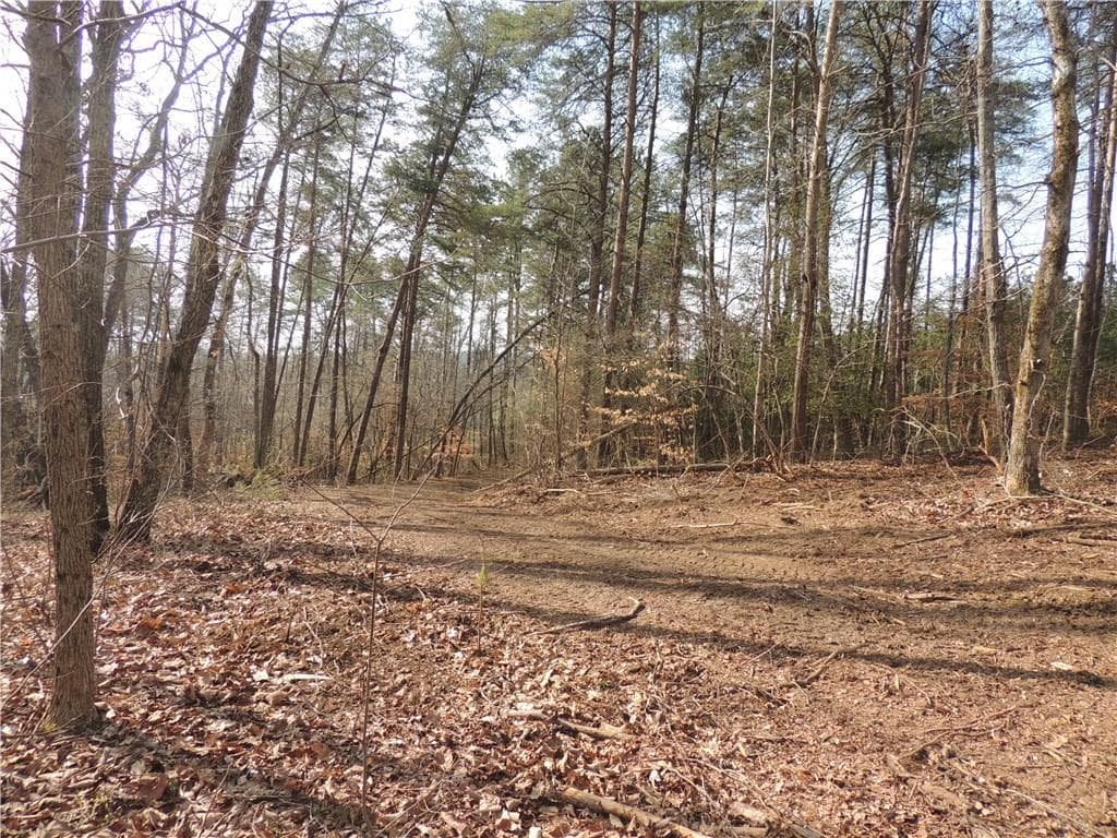 other sold at 501 HARRISON FARM Road, Ball Ground, GA 30107