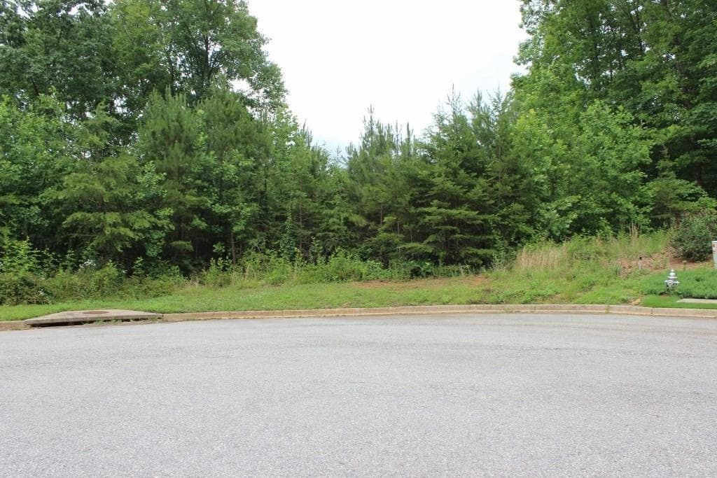 149 Black Oak Lane, Dawsonville, GA 30534 — most recent listing photo