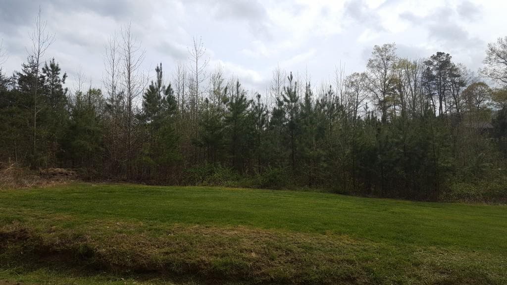other sold at 205 Pittman Road, Dawsonville, GA 30534