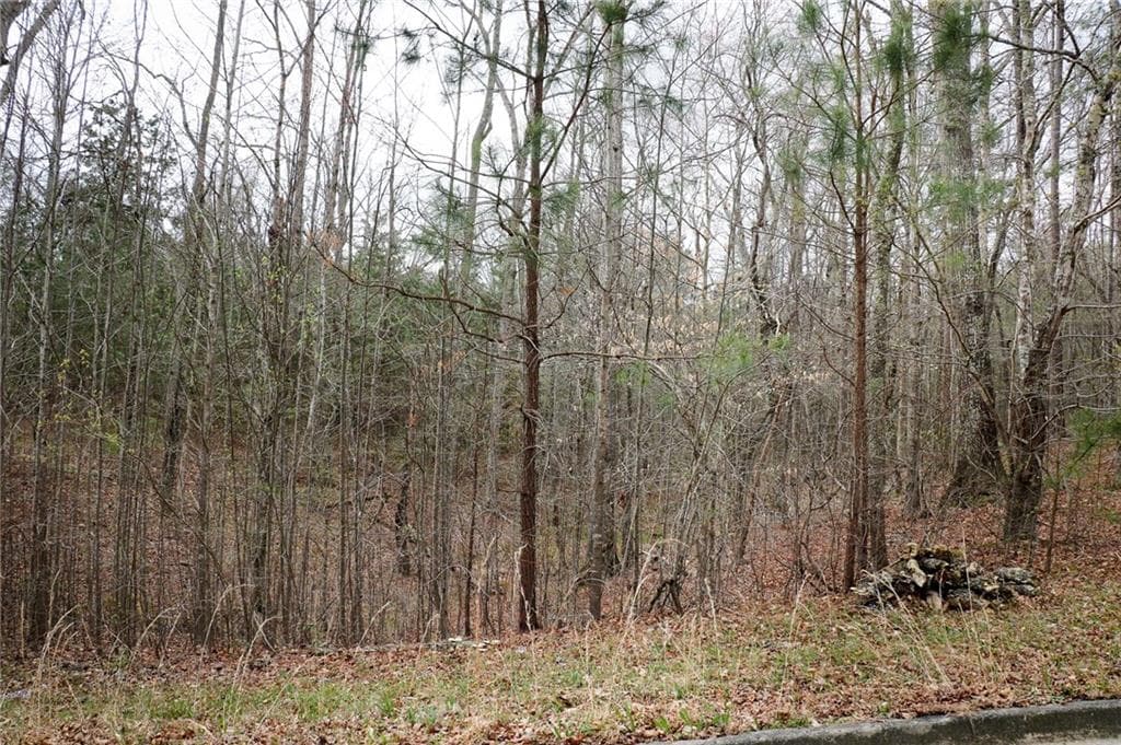 single family residence sold at 287 Evecliff Drive, Dallas, GA 30132