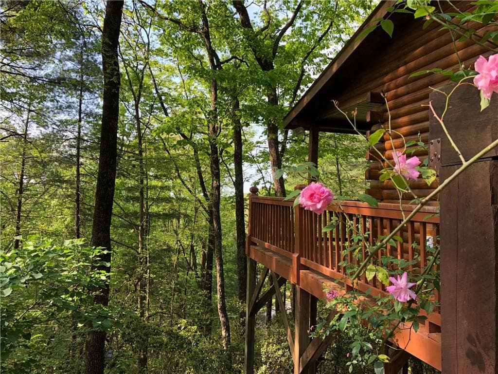 55 Mountain View Road, Ellijay, GA 30540 — most recent listing photo