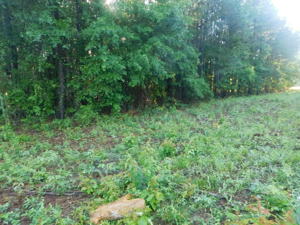 single family residence sold at 00 Burson Maddox Road, Winder, GA 30680