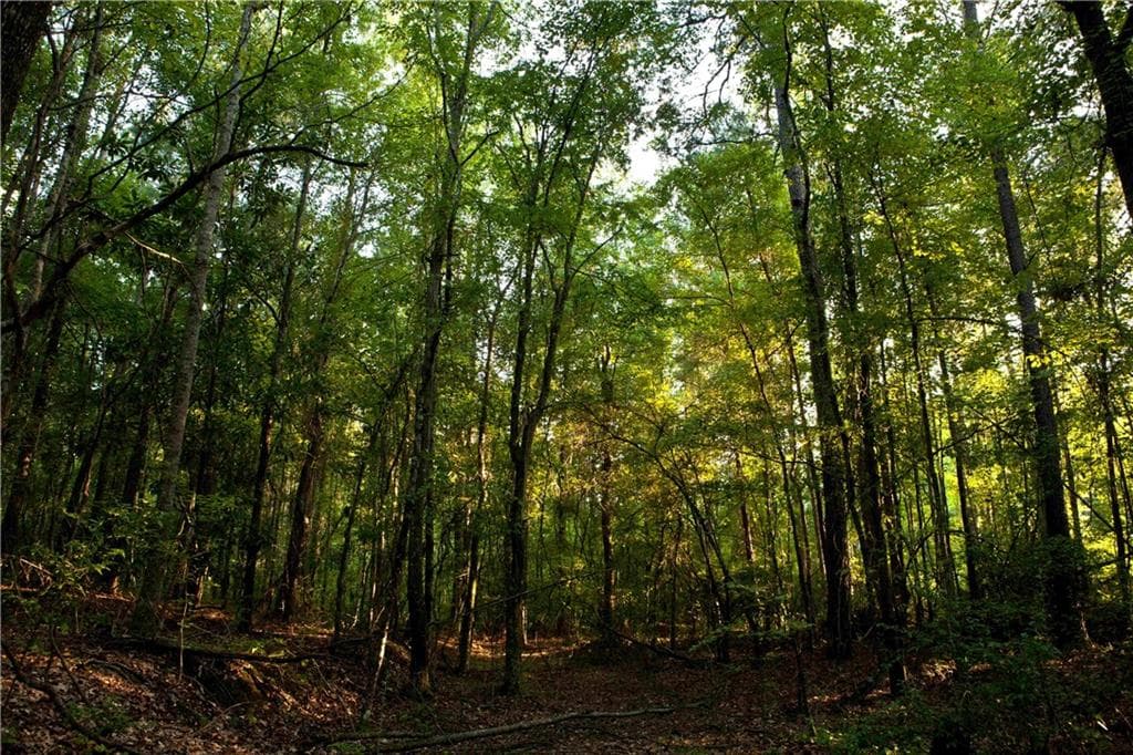other sold at 0 Whiteside Road, Chattahoochee Hills, GA 30268