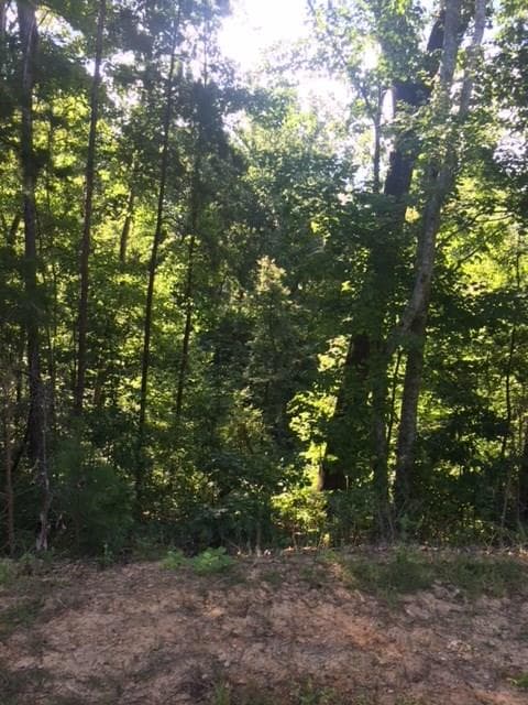 other sold at 4628 Creek Side Drive, Flowery Branch, GA 30542