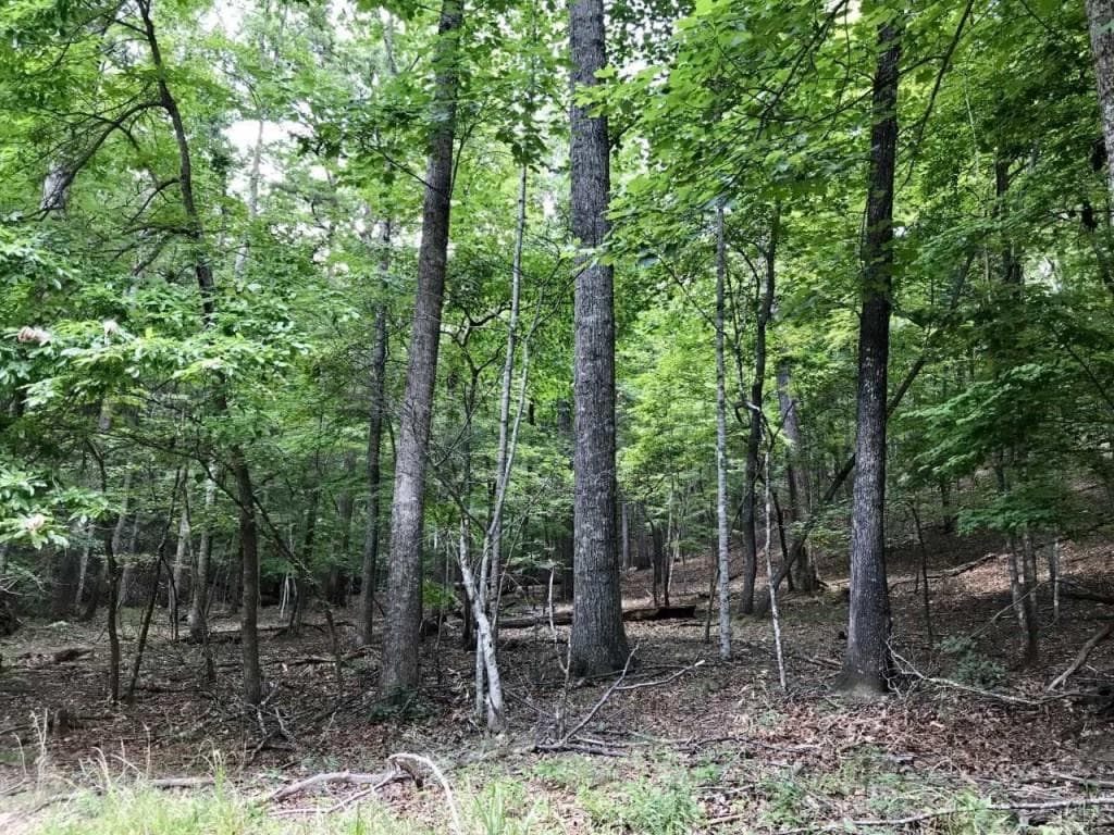 single family residence sold at 431 Tamarack Drive, Jasper, GA 30143