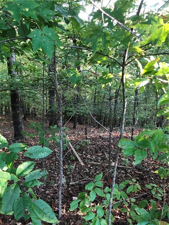 148 Sky Country Road, Dahlonega, GA 30533 — most recent listing photo
