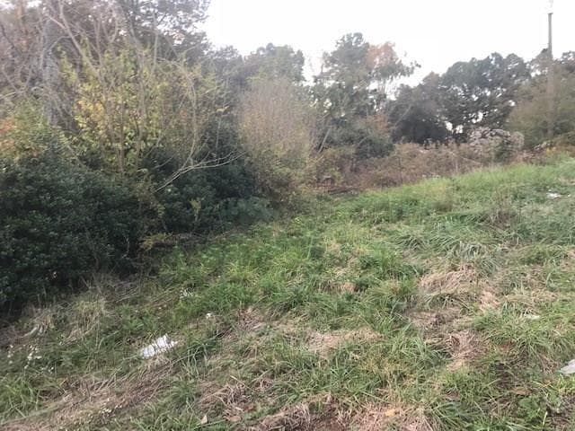 single family residence sold at 81 Pearidge Lane, Canton, GA 30114