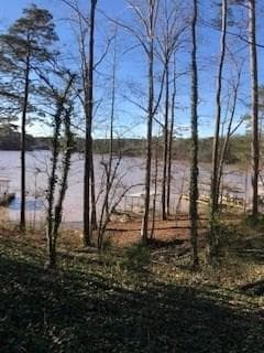 544 Lakeside Trail, Martin, GA 30557 — most recent listing photo