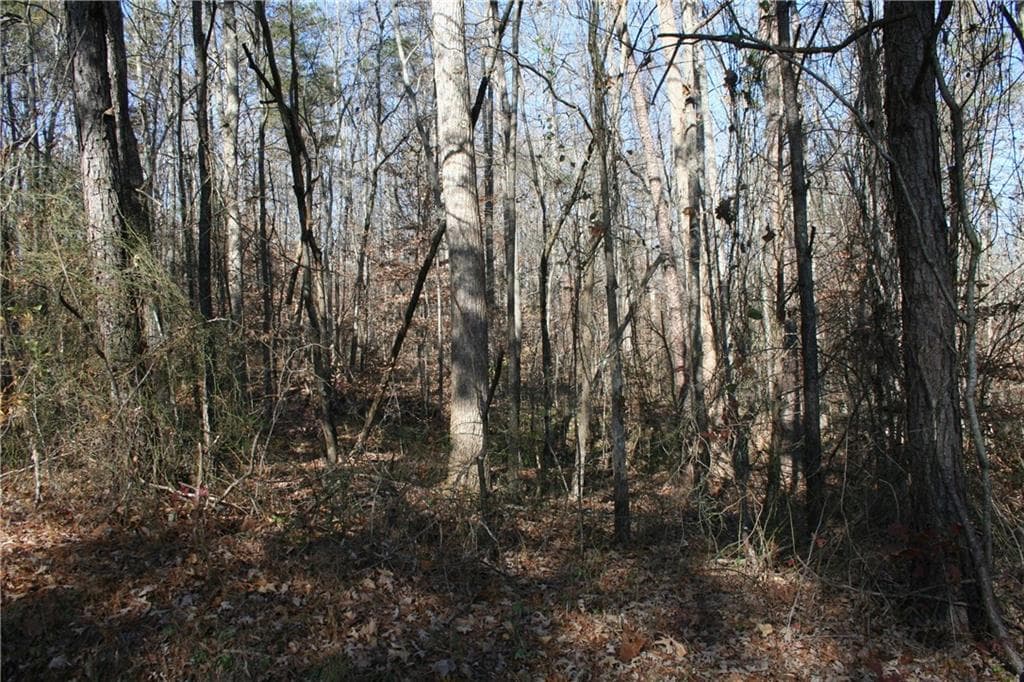 other sold at 667 Glen Wilkie Trail, Ball Ground, GA 30107