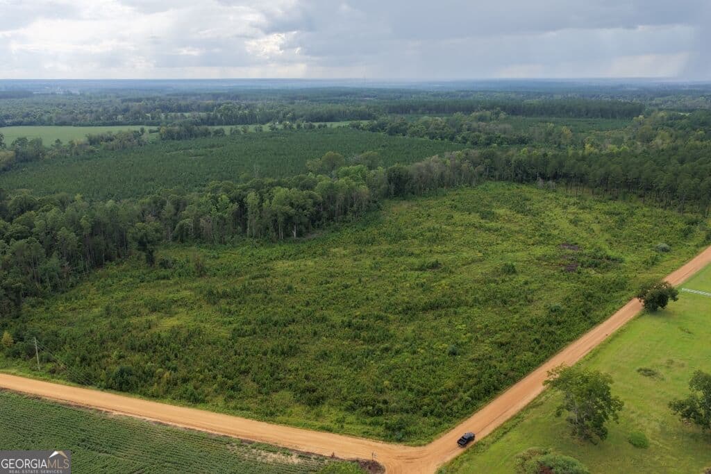 agriculture for sale at 0 Watson & Hendricks Roads TRACT 2, Metter, GA 30439