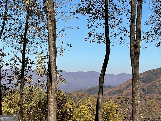 4 bedroom, 3 bathroom, 2,490 sq ft cabin,single family residence sold at 1189 Walnut Ridge, Ellijay, GA 30536
