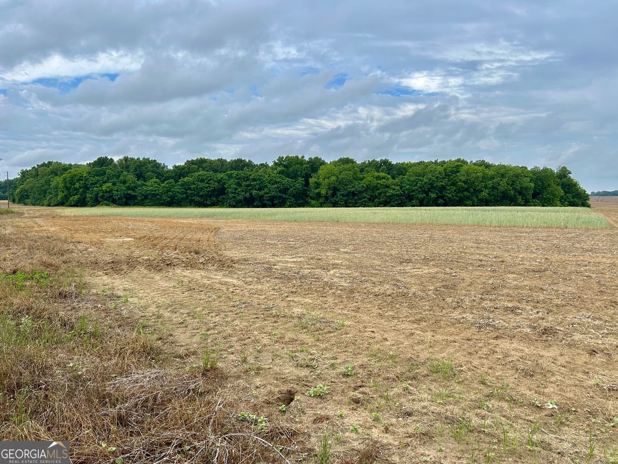 agriculture sold at 0 Busby Road, Unadilla, GA 31091
