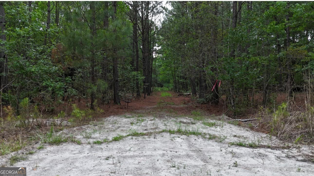 agriculture for sale at 0 Duck Pond Road, Sylvania, GA 30467