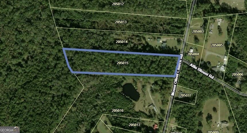 agriculture sold at 7.61 Mount Olivet Church Road, Fleming, GA 31309