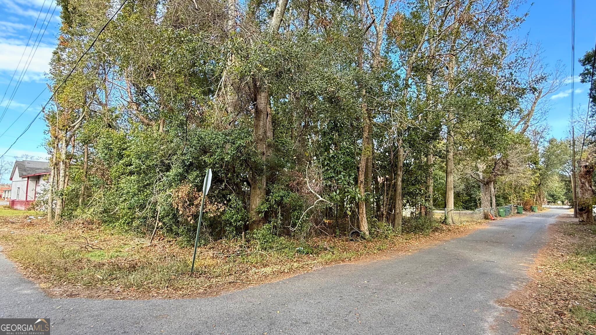 residential lot for sale at 0 N 3rd Lane, Jesup, GA 31545