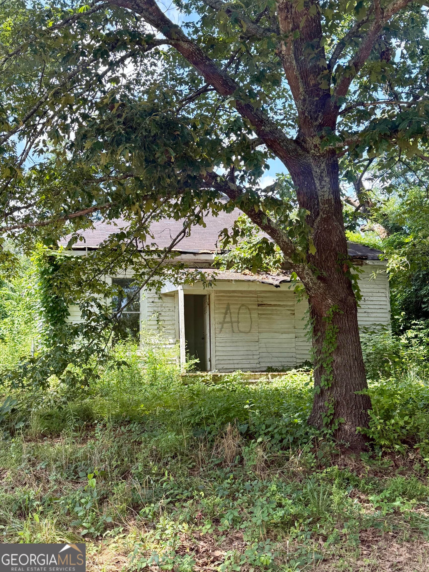 3 bedroom, 1 bathroom, 1,311 sq ft single family residence for sale at 113 Elm Street, Griffin, GA 30223