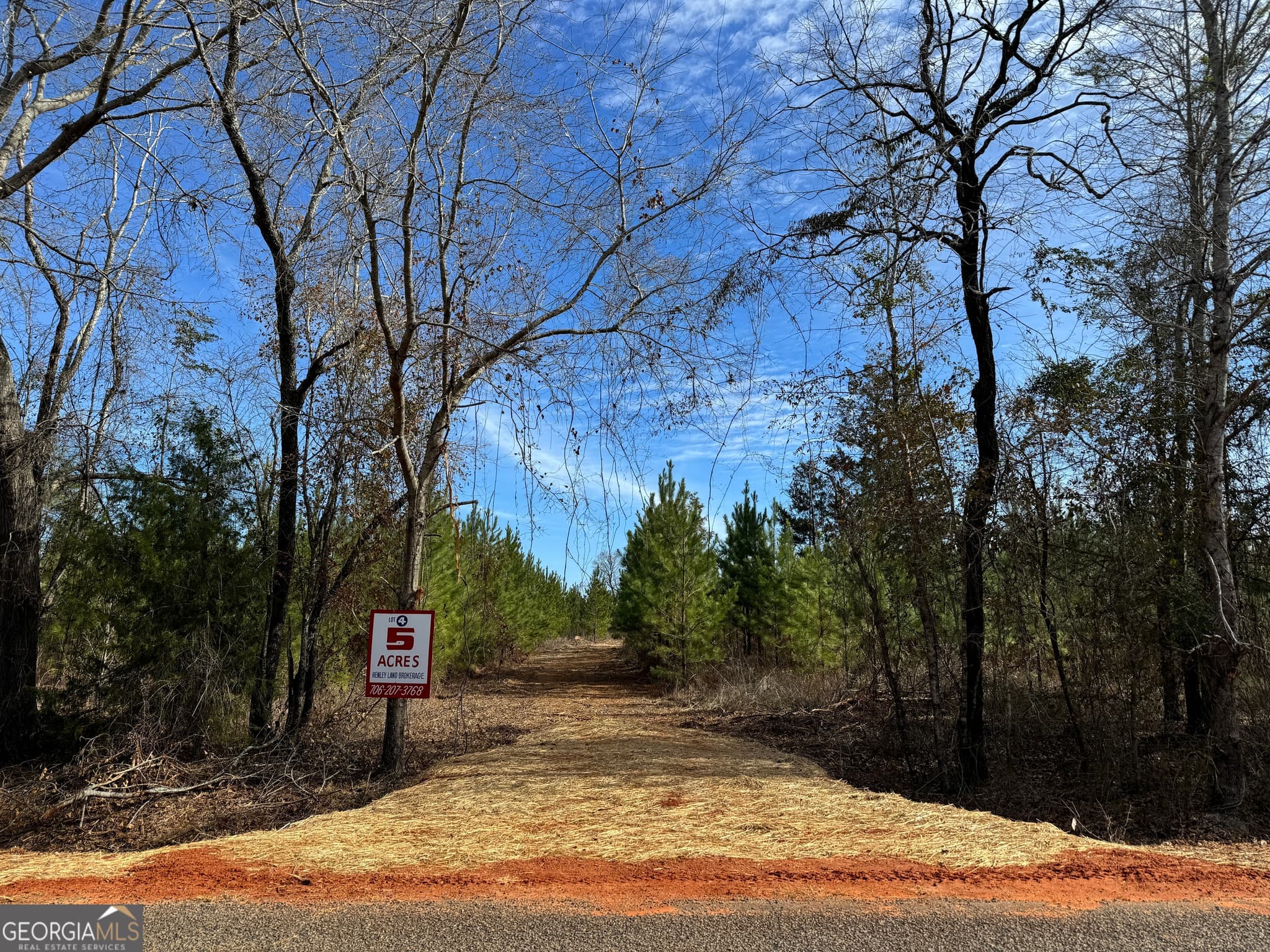 04 Dozier Road, Ellaville, GA 31806 — most recent listing photo