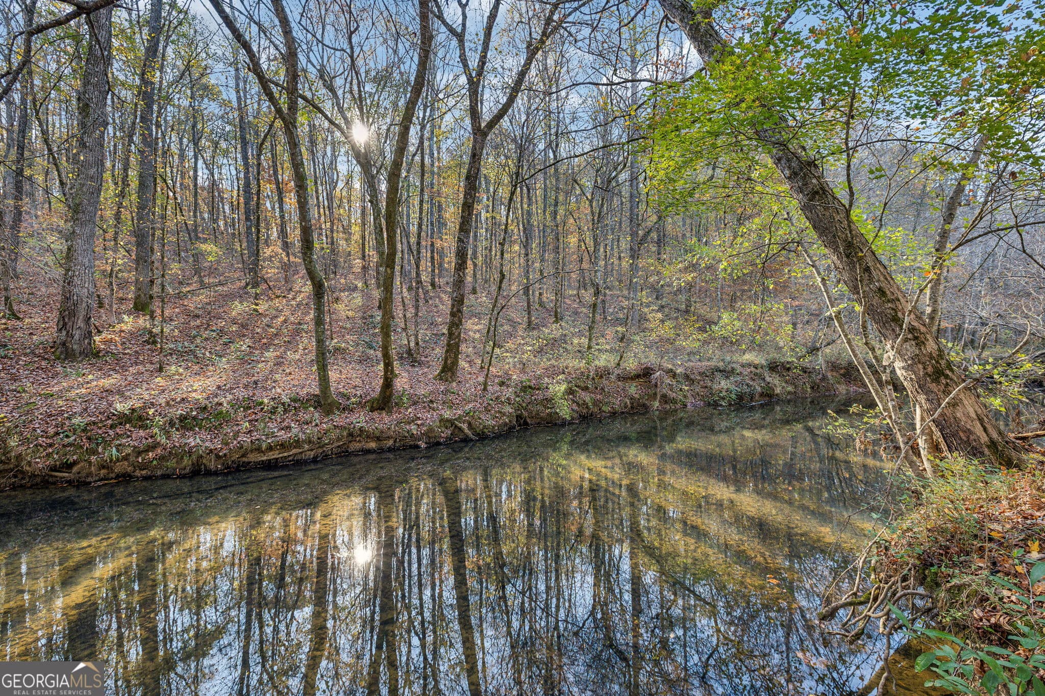 agriculture for sale at 1 Josh Ward Road, Summerville, GA 30747