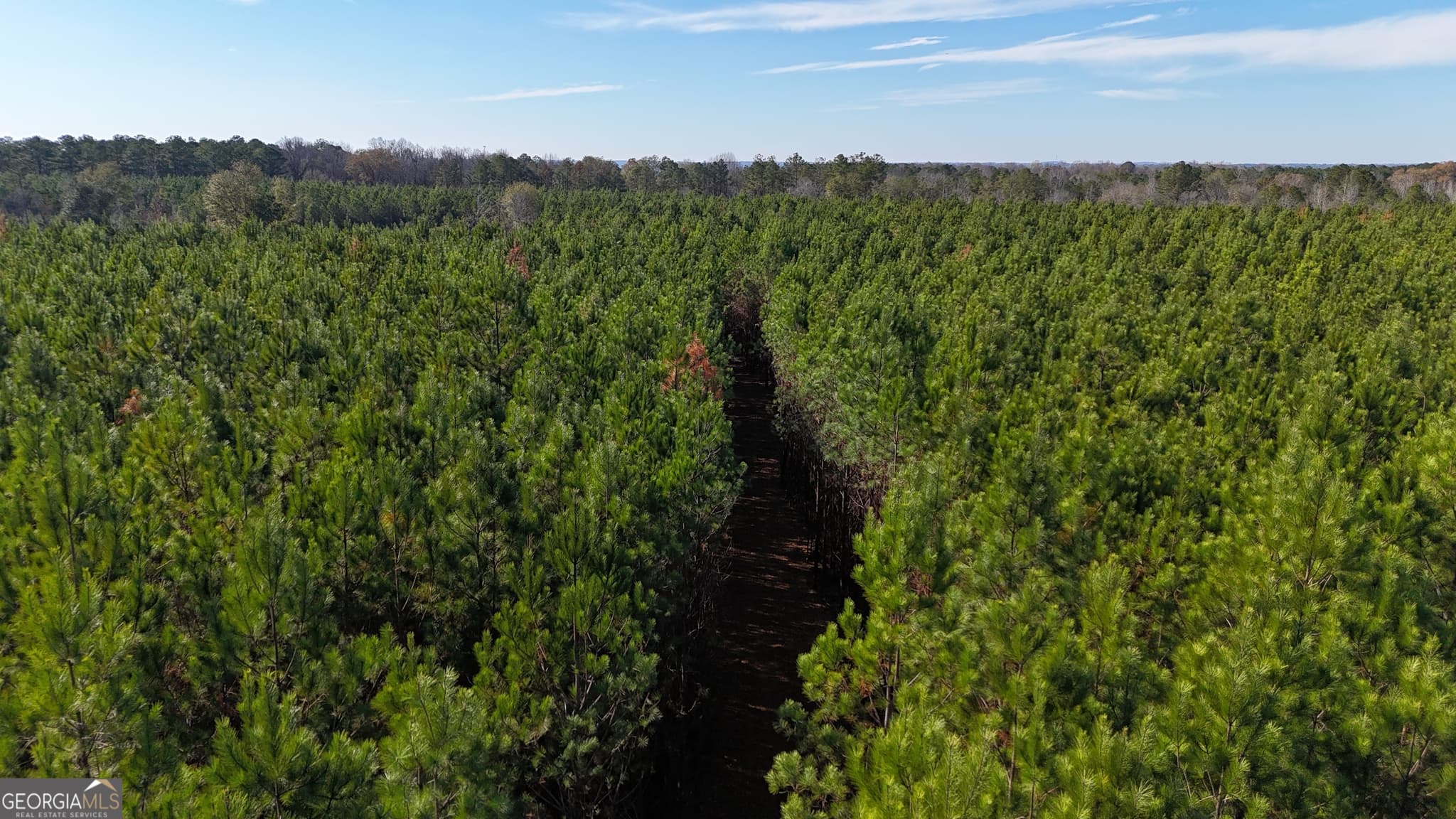 agriculture sold at 04 Cleghorn Drive, Tallassee, AL 36078