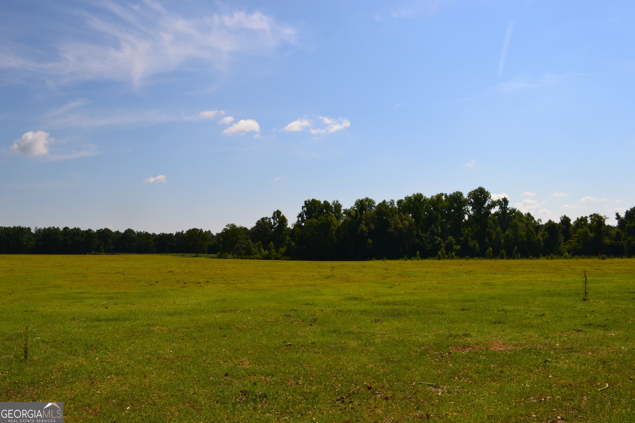 agriculture under contract at BISHOP Canoochee Road, Midville, GA 30441