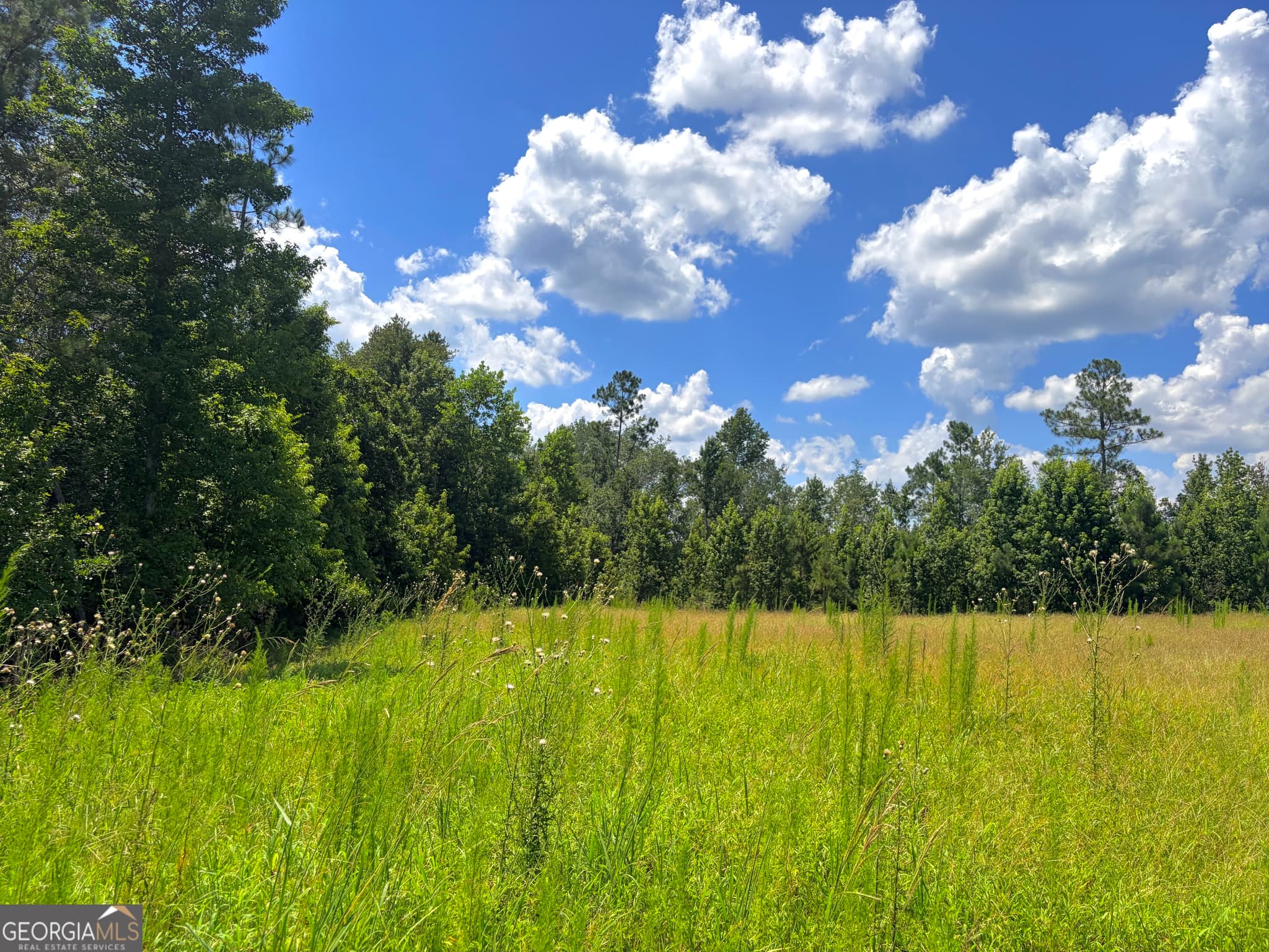 agriculture for sale at 0 Ernest Carter Road, Hazlehurst, GA 31539